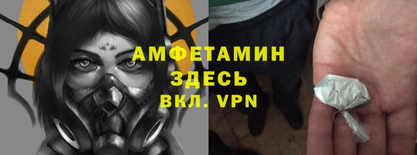 СК Алексин
