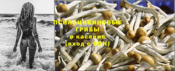 СК Алексин