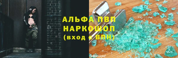 СК Алексин