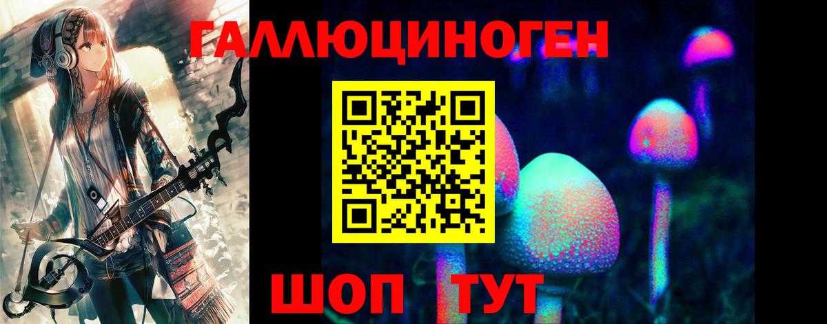 Псилоцибиновые грибы Psilocybe  Вход с VPN  Дубна 